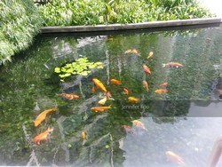 The Waterina (D14), Apartment #205596711